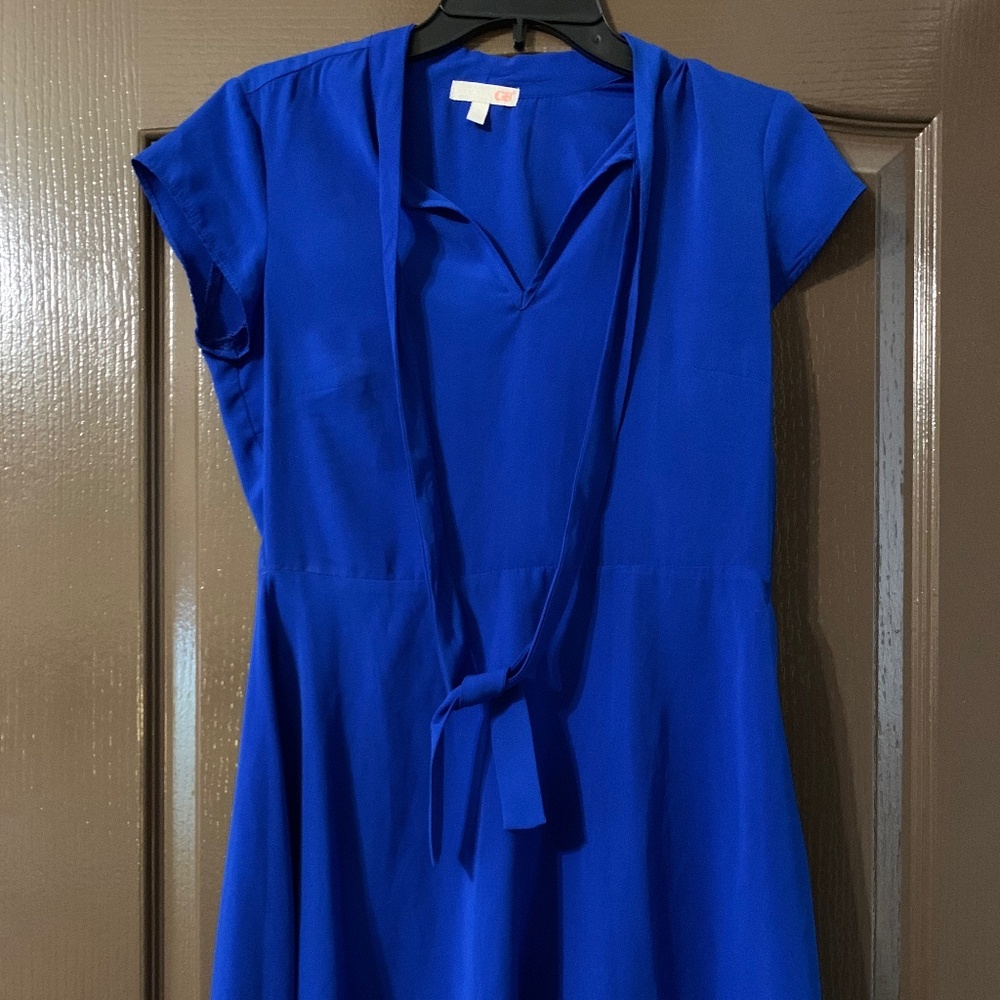 Gianni Bini Dress